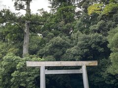 17：00少し前に伊勢神宮　外宮へ到着。さっきの二見興玉神社→伊勢神宮　外宮→伊勢神宮　内宮　の順で参拝するのが伊勢古来の正式な参拝順だそうです。