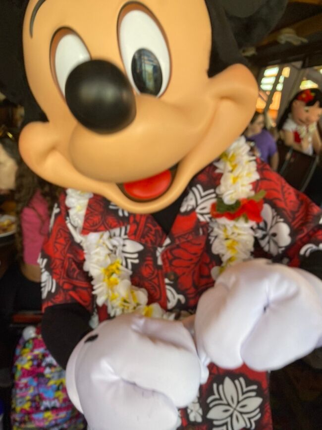 Disney - おはな WDWキャラクターダイニング「オハナ」でアロハな朝食を