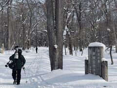 野幌森林公園大沢口