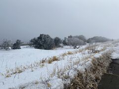 雪が吹き付けて、時折ホワイトアウトな天気です