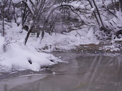 冬は水分が多くてボコボコがわかりにくいけど時々音がする。
