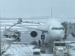 その雪の影響のため、羽田には1時間遅れて到着しました。