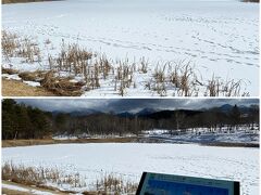 八ヶ岳自然文化園のマルヤチ湖です。
凍った湖面を誰か歩いた様です。