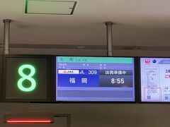 JL309便、8：55発福岡行き