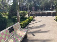 Shahi Jam-e-Masjid Bhadraに着きました
ベンチの色がかわいいです