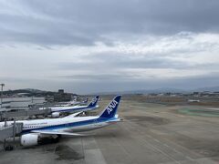 博多で時間があったので福岡空港まで足を伸ばした
博多～福岡空港の近さには驚嘆する
ANAさんが並んでいる方向