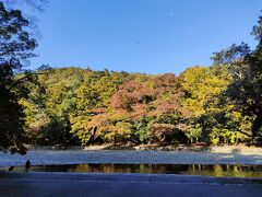 少し紅葉始まる内宮で