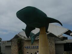 そして美ら海水族館　
平日でも人がたくさん訪れていました
ジンベイザメが出迎えてくれます