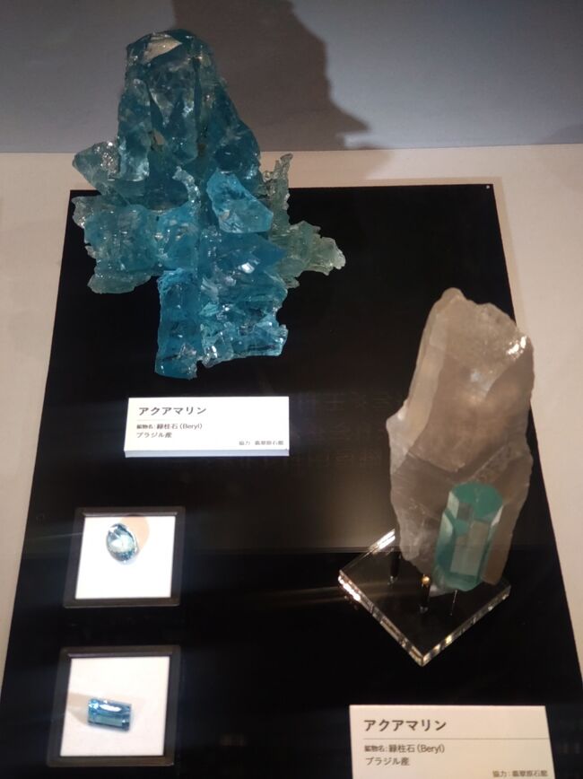 東京出張備忘録⑤【国立科学博物館：特別展(4)】』上野・御徒町