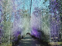 シーキャンドルはサムエル コッキング苑内にあり、夜のライトアップが綺麗そう。