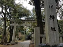 赤坂氷川神社です