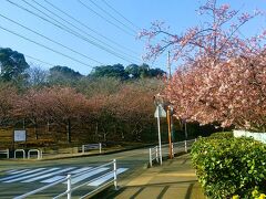 線路伝いに歩くこと、10分くらい。8:06に小松ヶ池公園の入口が見えてきました。左手に見える坂道を登って行きます。