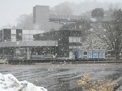 雪が降ってきました。(~_~;)