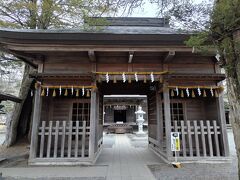 近くに神社があったから初詣で寄ってみた。
門に金剛力士像もいるし、ご神木は大きくまっすぐとすごく立派で驚いた。