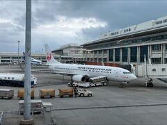 飛行機での移動