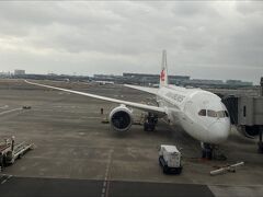 飛行機での移動