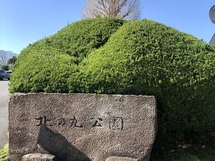 またまた北の丸公園。近いのでしょっちゅう出没しています。