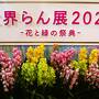 世界らん展-1　花と緑の祭典/2023　最終日に入場　☆東京ドームシティプリズムホールで