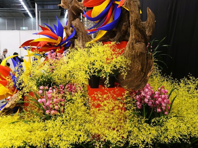 【美品・希少本】 花伝 長井理一と花の旅人作品集Ⅲ 資料集 華道 共栄印刷 美品・希少本】 花伝 長井理一と花の旅人作品集Ⅲ