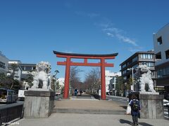 鎌倉　若宮大路　二の鳥居　13:00頃

久しぶりの鎌倉散歩。
ちょっと風が冷たいですが、綺麗な青空が広がります。