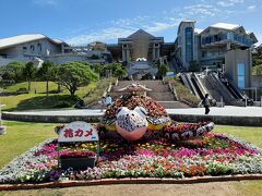 海洋博公園の中心的施設・美ら海水族館。

今回は時間の関係もありパスしましたが、一度見てみたいなと思いました。