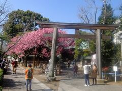 荏原神社の鳥居．　

創建は飛鳥時代の末期，和銅2年と古い．平安時代中期には伊勢神宮より豊受大神（豊受姫之神）と天照大神（天照皇大神）が勧請され，鎌倉時代中期には京都の八坂神社より、牛頭天王（須佐男之尊）が勧請された．平安時代の中期には，源頼義と義家が奥州征伐に際し参蘢．品川の海中で身を浄めたと伝えられている．源氏，上杉氏，徳川氏など多くの武家からも厚く信仰された．神社名が現在の「荏原神社」に改称されたのは明治8年．