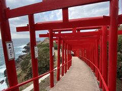 角島大橋から40分ほどのドライブで元乃隅神社。