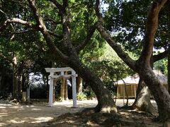 この集落の、つまりは小浜島の御嶽、嘉保根御嶽。
この一角だけは森のようになっていて、いかにも「神社」の雰囲気。
地元の人の信仰が厚いのでしょう。