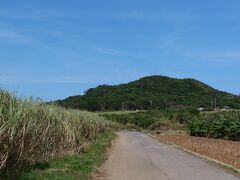 集落を出てサトウキビ畑の中を道を歩いて、小浜島の「最高峰」、大岳へ向かいます。