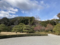 伊勢神宮内宮から見たお山がステキだったのでパシャリ