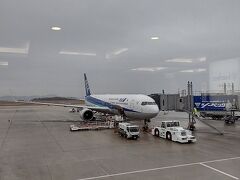 出発の朝。
朝一の飛行機で広島空港から羽田へ向かいます。
今回乗ったのはJALですが・・・。
お天気は曇り。ディズニーで雨が降りそう・・・微妙な天気の中出発です。