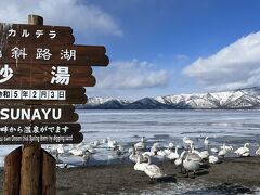 砂湯！
白鳥もたくさんいました。

この看板も昭和な観光地って感じですが、ちゃんと日付も入っていて記念になります。