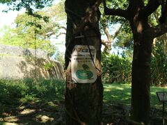 首里城公園で見かけた「はぶに注意」の掲示
