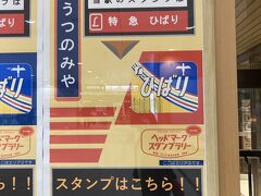 更に足を延ばし、宇都宮まで！まさかの久喜から一時間かかるという…そんなに遠いのか…そして、まさかの宇都宮は切符範囲外だった笑