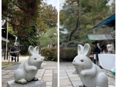 今回の目的地。
お隣の岡崎神社。
狛犬さんではなく
かわいいうさぎがお出迎え。