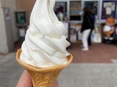 今夜の宿泊先の吹上温泉へ向かう。途中指宿の道の駅で休憩、ソフトクリーム、吹上温泉へは車で1時間半ほど走ることになる。
