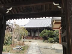 門が空いた！見事なソテツ！（http://www.joukyouji.com/）
フェノロサが講演を行った場所とのこと。見学させてもらいました