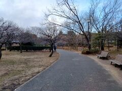 府中の森公園
