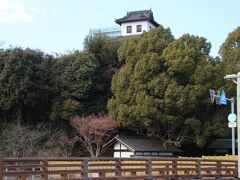 午後２時半位に、掛川城が見えてきました(^^♪
1590年山内一豊氏が入城し～10年間で天守閣の建立や城下の整備がなされ、東海の名城と称されたそうです。