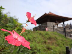 ハイビスカス越しに展望台を見上げて