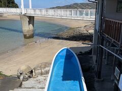 島への吊り橋の袂に露天舟湯というのがあり、夏場は海水浴客向けに温泉が張られているがシーズンオフは空になっている。