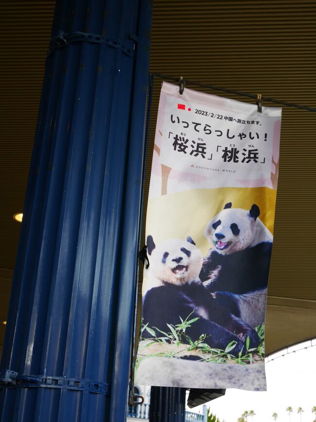 ジャイアントパンダ 永明30歳記念 写真集「永明からつながる ジャイアントパンダ 永明30歳記念 写真集「永明からつながる