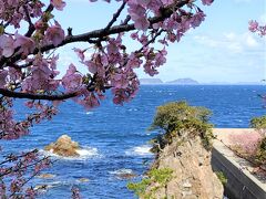 田ノ浦付近
穴のあいた三角岩と桜