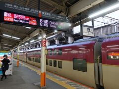 　車掌さんに聞いたところ新幹線への振り替えも行わないとかで、新幹線代は自腹を切る覚悟を決めて熱海で下車しました。ああ、東京まで乗って行きたかったよ。