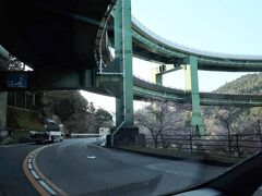 伊豆中央道を進み途中に通った河津七滝ループ橋です。
こちらにも河津桜があります。
こちは開花が早かったのですが長く見頃が続いています。
帰りに寄る計画を立てていましたが、予定変更で立ち寄ることができませんでした。





