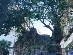 仲島の大石
街中の信仰の場
昔はこのあたりは遊郭があったそうですが、
この石は歴史を見守ってきたんでしょう
ただパワースポットには思えました
てのが