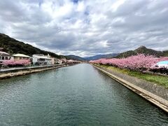 海岸線道路の橋から桜並木をパチリ☆彡
ここからの景色はポスターとかで見た事あるわ(*^^*)
