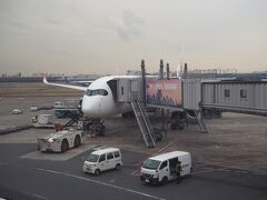 （JAL917）羽田 13:30 ⇒ 那覇 16:25

A350で那覇へ。
天気が悪くて、富士山は見られず。
