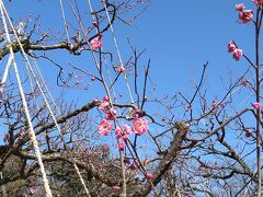 腹ごなしに歩きます。
高岡古城公園公園を北側から入ります。