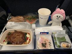 飛行機での移動